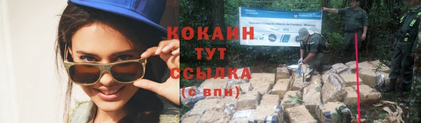 крисы Володарск