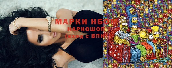 крисы Володарск
