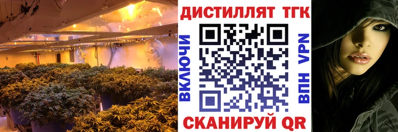 Дистиллят ТГК концентрат  цена   Ставрополь 