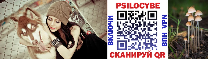 Псилоцибиновые грибы Psilocybe  Ставрополь 